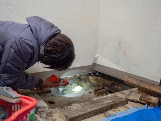 Best Mold-Related Health Consultation  in Delft Colony, CA