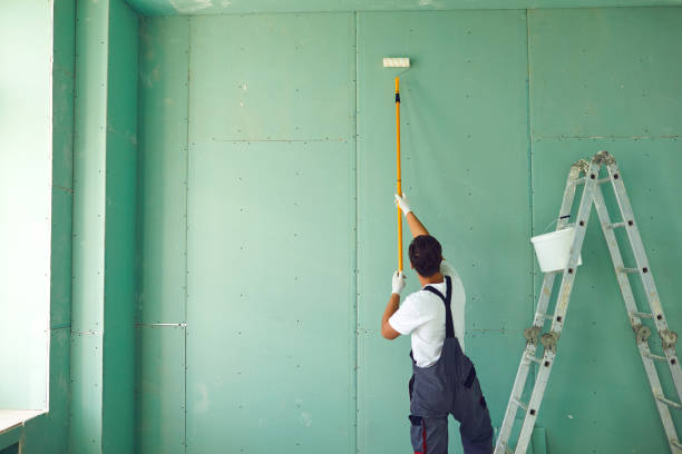 Best Black Mold Removal  in Delft Colony, CA