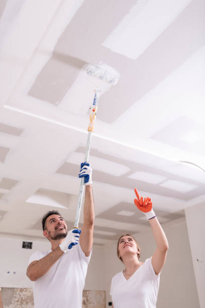 Best Mold Odor Removal Services  in Delft Colony, CA