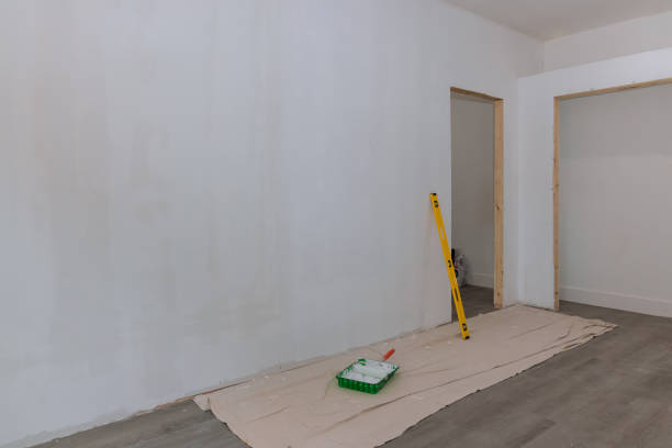 Delft Colony, CA Mold Removal Company